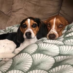 Meet your Posher, Judy